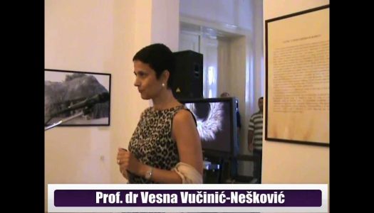 V Congresso da Associação Portuguesa de Antropologia: Vesna Neskovic