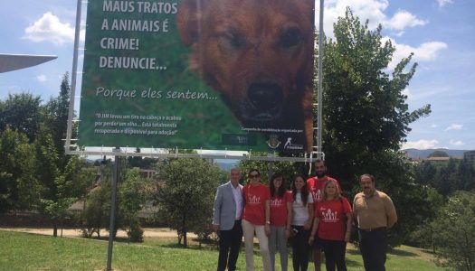 ProAnimal lança campanha de sensibilização