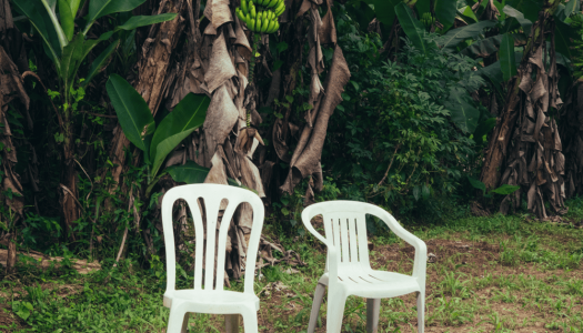 Lo Que La Passo a Hawaii – Bad Bunny