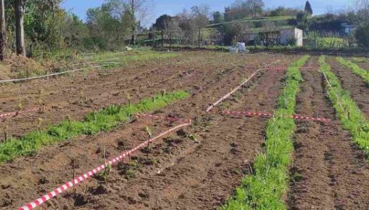 UTAD alarga a investigação em agricultura sustentável na vizinha Espanha