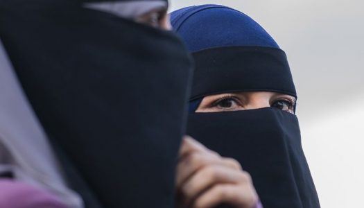 A nova lei dos véus: proteção ou preconceito? A nova lei dos véus: proteção ou preconceito?