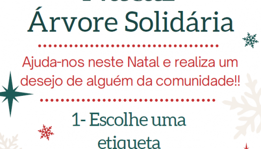 UTAD lança Campanha de Natal “Árvore Solidária” para apoiar estudantes e instituições da região