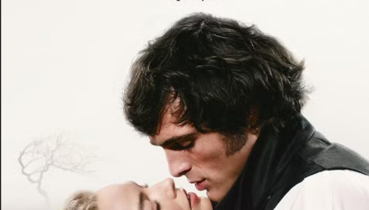 Será que o amor mata?