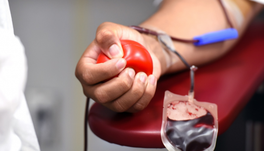 UTAD e IPO do Porto lançam campanha para incentivar à dádiva de sangue