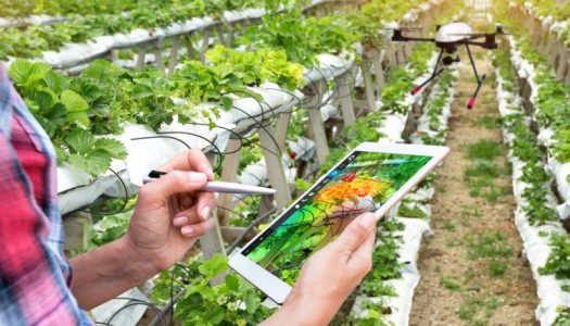 UTAD integra projeto com foco na digitalização e inovação do setor agroalimentar